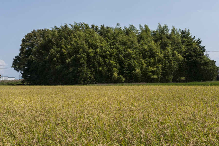 20140913-20140913-dsc_0243-2.jpg